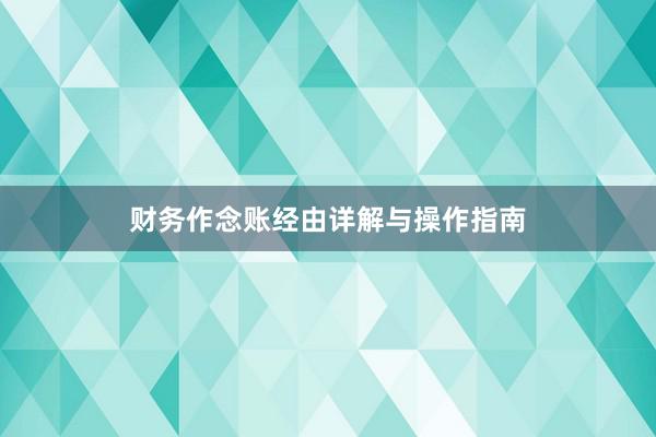 财务作念账经由详解与操作指南